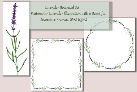 Botanical Lavender Set: A Designer’s Real-World Review for Embroidery Projects